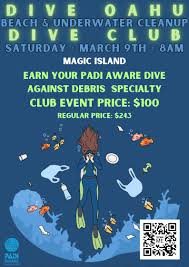 Image result for 243 Diving Club