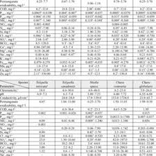 Attēlu rezultāti vaicājumam “Nostoc pruniforme macro”