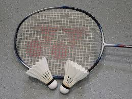 Image result for Penwortham Badminton Club
