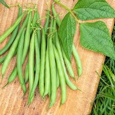 Image result for Buschbohnen