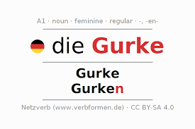 Image result for Gurke