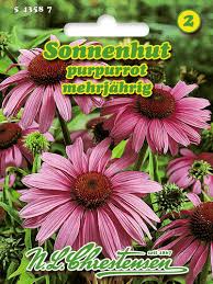 Image result for roter Sonnenhut