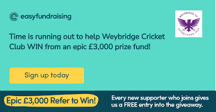 Image result for Weybridge Cricket Club