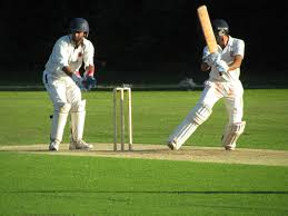 Image result for Shenley Village Cricket Club