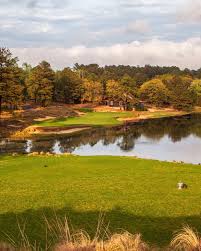 Image result for Tarbat Golf Club