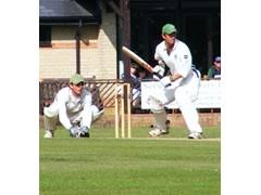 Image result for Saffron Walden Cricket Club