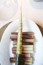 Image result for noma mad