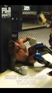 Image result for Wolverine MMA