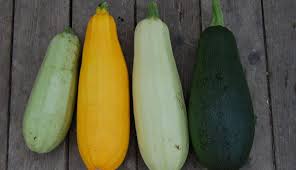 Image result for Zucchini