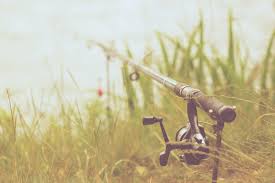 Image result for Guildford Angling Society