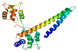 Image result for KYN 2ch