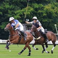 Image result for Cirencester Park Polo Club