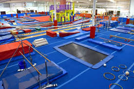 Image result for Northern Gymnastics Club CIC