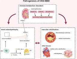 Image result for Peak Performance Ckd, Horley