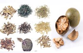 Attēlu rezultāti vaicājumam “Arctium lappa fruit”