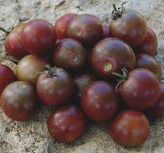 Afbeeldingsresultaat voor black cherry tomato