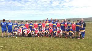 Image result for Parnells Gaelic Football Club