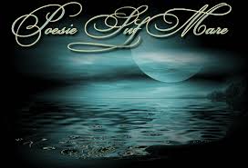 pOESIE SUL MARE