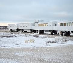 Image result for tundra buggy