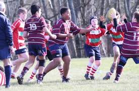 Image result for Crawley Rugby Club