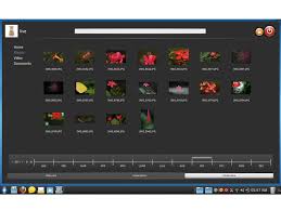 Image result for Mandriva