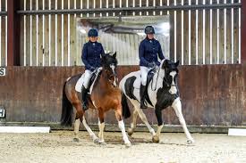 Image result for Elstead Riding Club