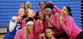 Image result for City Of Salford Volleyball Club