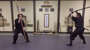 Image result for Bujinkan Dojo Seijitsu