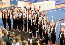 Image result for Elite Recreational Gymnastics Club
