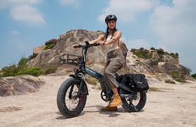 Image result for bicycle pannier