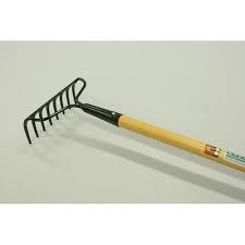 「珠千代」の画像検索結果