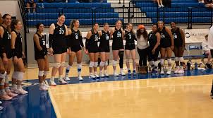 Image result for York University Volleyball Club