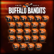 Image result for Kilkenny Bandits