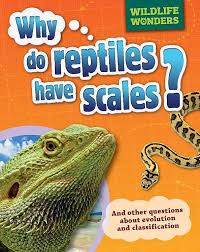 Image result for reptile scales