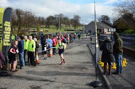 Image result for Wee County Harriers