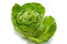 Image result for Kopfsalat