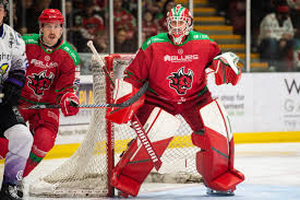 Image result for Cardiff Devils