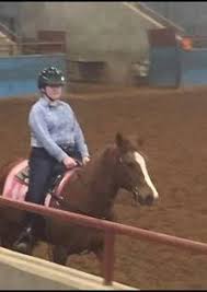 Image result for East Flegg Riding Club