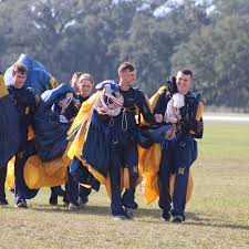 Image result for York University Parachute Club