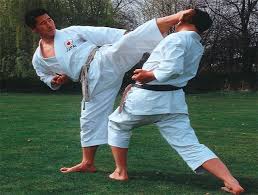 Image result for York University Karate Club