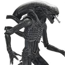 Image result for xenomorph