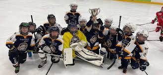 Image result for Romford Raiders