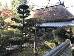 Image result for Hertfordshire Iga Ryu Ninjutsu