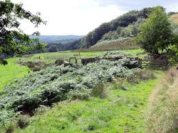 Image result for Tameside Area