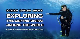 Image result for World Divers