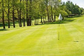 Image result for Puttenham Golf Club
