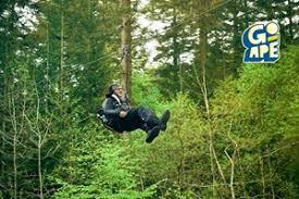 Image result for Go Ape! Grizedale