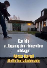 Image result for Basingstoke Demons Floorball Club