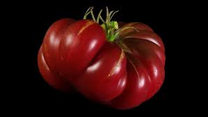Afbeeldingsresultaat voor purple calabash tomato