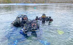 Image result for Worcester Divers Octopush Club